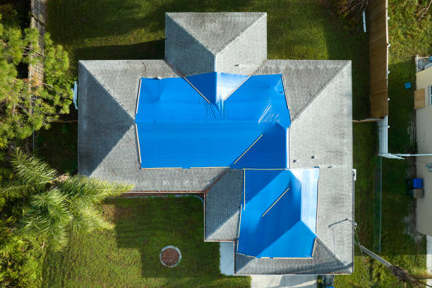 Best Roof Maintenance and Cleaning  in Chicago, IL