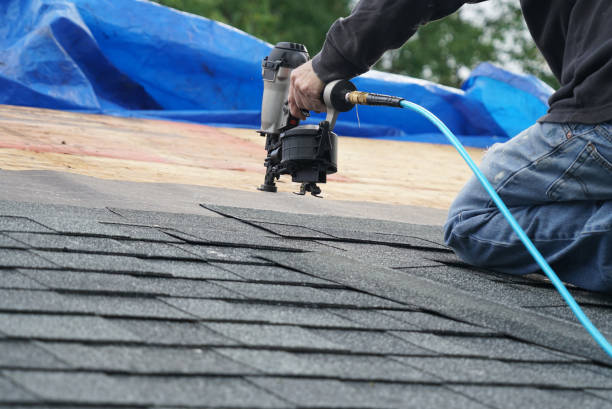 Best Sheet Metal Roofing  in Chicago, IL