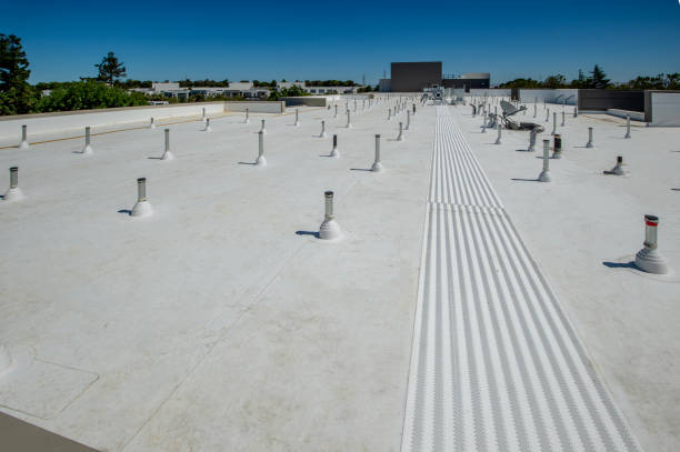 Best Asphalt Shingle Roofing  in Chicago, IL